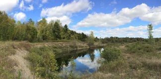 Located near Crowley Line and Rosa Landing Road in Otonabee-South Monaghan Township and managed by Otonabee Conservation, the Mikinaak Conservation Area is a former gravel pit that has naturally regenerated since aggregate extraction stopped in the late 1990s, including functional wetlands that provide homes to a variety of flora and fauna, especially nesting turtles. Otonabee Conservation worked with Hiawatha First Nation to choose the name for the new conservation area, with "mikinaak" meaning turtle in the Mississauga Ojibwe language. The site will be open to the public for recreational uses in the future. (Photo: Otonabee Conservation)