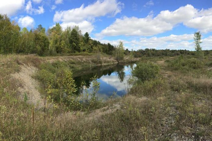 Located near Crowley Line and Rosa Landing Road in Otonabee-South Monaghan Township and managed by Otonabee Conservation, the Mikinaak Conservation Area is a former gravel pit that has naturally regenerated since aggregate extraction stopped in the late 1990s, including functional wetlands that provide homes to a variety of flora and fauna, especially nesting turtles. Otonabee Conservation worked with Hiawatha First Nation to choose the name for the new conservation area, with "mikinaak" meaning turtle in the Mississauga Ojibwe language. The site will be open to the public for recreational uses in the future. (Photo: Otonabee Conservation)