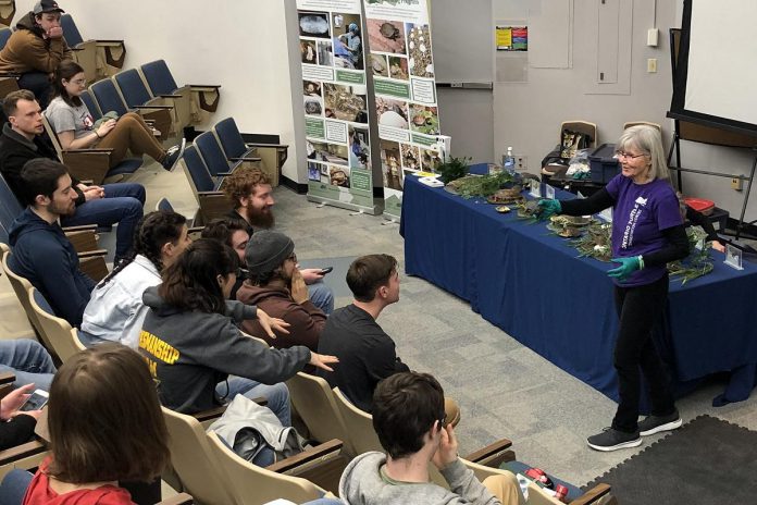 The Ontario Turtle Conservation Centre (OTCC) at Fleming College. The OTTC's share of proceeds from its 50/50 fundraiser will support the registered charity's outreach and educational programming for schools, community groups, and more. (Photo: OTCC)