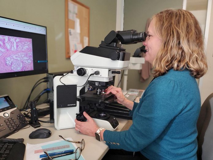 A major priority area for the Peterborough Regional Health Centre (PRHC) Foundation's Campaign for PRHC is to raise funds for a $2.5 million investment in the future of cancer care diagnostics through digital pathology. This innovative technology will digitize slides to create images that can be easily shared, managed, and interpreted, leading to improved analysis, multiple-angle views, better opportunity for collaboration, and reduced turnaround time. (Photo courtesy of PRHC Foundation)