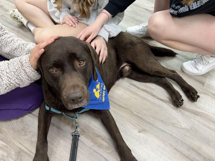 Sunshine Therapy Dogs was founded in 2020 to support those in the community facing mental and emotional illness and loneliness. Backed by research on the benefits of human-animal interaction, the charity enlists volunteers to bring their dogs to organizations, institutions, and individual homes to provide companionship, and to reduce symptoms of depression and stress. The Toronto-based charity has recently expanded its coverage regions and is seeking volunteers based in the Peterborough area. (Photo courtesy of Sunshine Therapy Dogs)