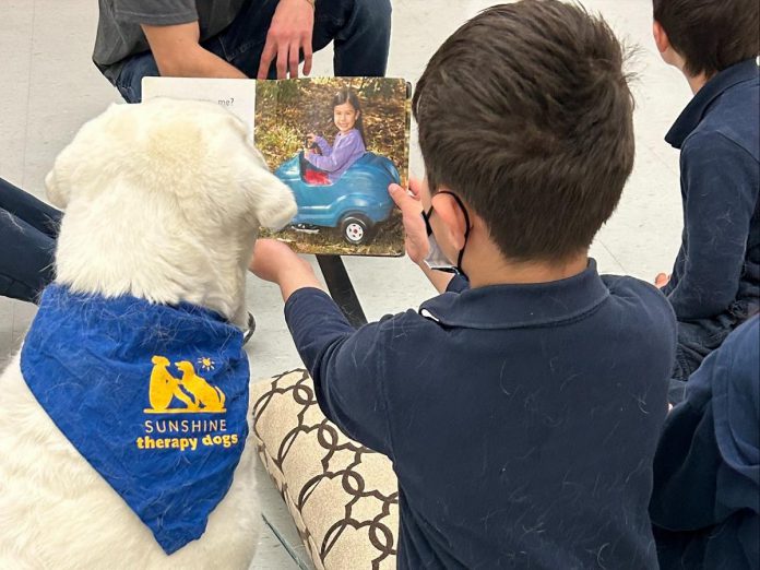 Recent studies have shown that human-animal interactions have significant impacts on children and young people including supporting the development of empathetic traits, reducing stress, and reducing symptoms of PTSD and depression. (Photo courtesy of Sunshine Therapy Dogs)