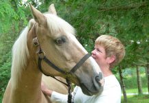 Jennifer Garland, RP, founder and program director of The Mane Intent in Indian River, with her late horse Sunny. After meeting Sunny in 2011, Garland learned first-hand how horses can be very healing and impactful on mental health. Ten years ago, she was inspired to give up her corporate communications career in Toronto to open The Mane Intent, becoming a Registered Psychotherapist and helping others find healing through intentional interactions with horses. (Photo courtesy of The Mane Intent)