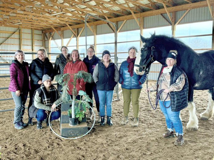 The YWCA Peterborough Haliburton's leadership team during a team day event at The Mane Intent in 2024. Along with individualized trauma-informed virtual, in-person, and equine-assisted psychotherapy, The Mane Intent also holds professional development and wellness workshops, inviting participants to explore their personal leadership essence, enhance creativity, build teamwork, and improve resiliency. (Photo courtesy of The Mane Intent)