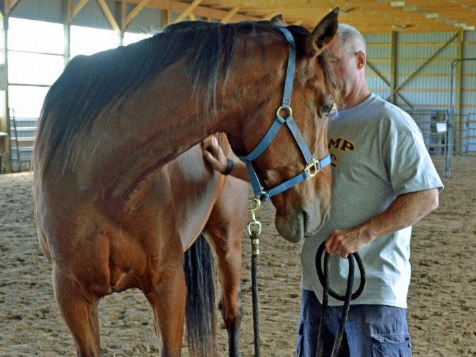 Over its 10-year history, The Mane Intent has seen the positive impact of equine-assisted psychotherapy on a range of participants coming from a range of ages, backgrounds, and genders. The facility has worked with everyone from young girls to veterans in focused areas of PTSD, depression, anxiety, trauma, and more. (Photo courtesy of The Mane Intent)