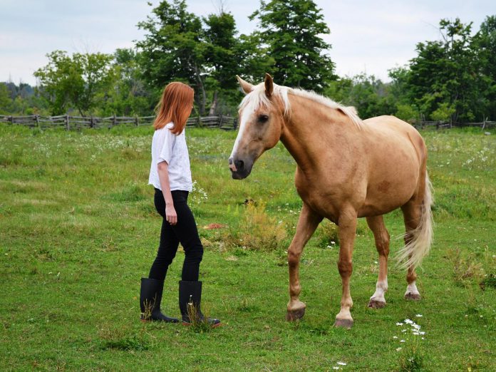 Sunny (with a Chance of Tornado) with Sarah, the daughter of The Mane Intent founder Jennifer Garland, RP. Sunny inspired Garland's career pivot to become a Registered Psychotherapist and offer equine-assisted psychotherapy and learning opportunities at her Indian River farm. Though Sunny passed away unexpectedly in December 2023, his legacy lives on as The Mane Intent celebrates 10 years of helping others find healing through intentional interactions with horses. (Photo courtesy of The Mane Intent) 