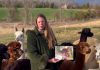 Katie Maitland of Wanderlight Alpaca Experience is selling a 2025 calendar featuring 12 alpacas from her Douro-Dummer farm and will donate $10 from the sale of each $21 calednar to YES Shelter for Youth and Families. (kawarthaNOW screenshot of Wanderlight video)