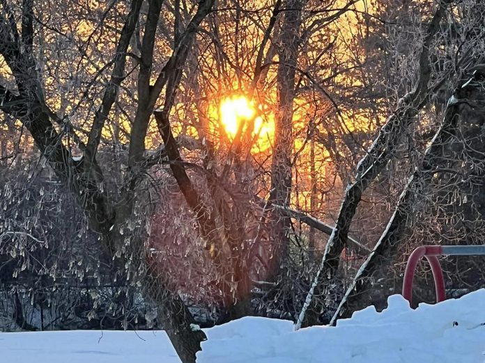 Hosted by the Greater Peterborough Health Services Foundation (GPHSF) with support from Seven Hills Developments, the fourth annual Darkness to Light gathering begins at 7:45 a.m. on December 21, 2024 at Rogers Cove in Peterborough, once again led by registered psychotherapist Julie Brown. (Photo: GPHSF)