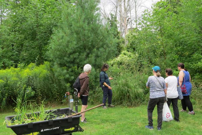 GreenUP program coordinator Hayley Goodchild facilitates a workshop on forbs and native grasses as part of GreenUP Ecology Park's new native plant propagation program. Community donations will help support continued programming at Ecology Park in 2025. (Photo courtesy of GreenUP)