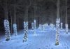 Located on the Escarpment Trail at the front of Ken Reid Conservation Area near Lindsay, the Illuminated Forest features a one-kilometre trail of trees decorated with thousands of lights. (Photo: Kawartha Conservation)