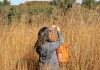 A volunteer with Kawartha Land Trust (KLT) collects seeds from the tallgrass prairie at KLT's Ballyduff Trails nature reserve in Kawartha Lakes as part of ongoing efforts to restore the endangered ecosystem. KLT has received a $141,000 investment from the Greenbelt Foundation for restoration and stewardship work along sections of the Oak Ridges Moraine located in the City of Kawartha Lakes and Peterborough County. (Photo courtesy of KLT)