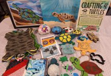 North Hastings volunteer group Think Turtle Conservation Initiative has launched the annual "Crafting 4 Turtles" initiative, inviting community members and conservationists to get crafty in support of turtles. The project calls for donations of handmade items to be sold at community events, markets, and online with proceeds going to the Ontario Turtle Conservation Centre. While accepted year-long, the organization is requesting donations by the end of May to stock up for summer markets and events. (Photo courtesy of Think Turtle Conservation Initiative)