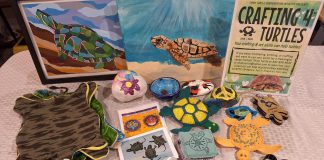 North Hastings volunteer group Think Turtle Conservation Initiative has launched the annual "Crafting 4 Turtles" initiative, inviting community members and conservationists to get crafty in support of turtles. The project calls for donations of handmade items to be sold at community events, markets, and online with proceeds going to the Ontario Turtle Conservation Centre. While accepted year-long, the organization is requesting donations by the end of May to stock up for summer markets and events. (Photo courtesy of Think Turtle Conservation Initiative)