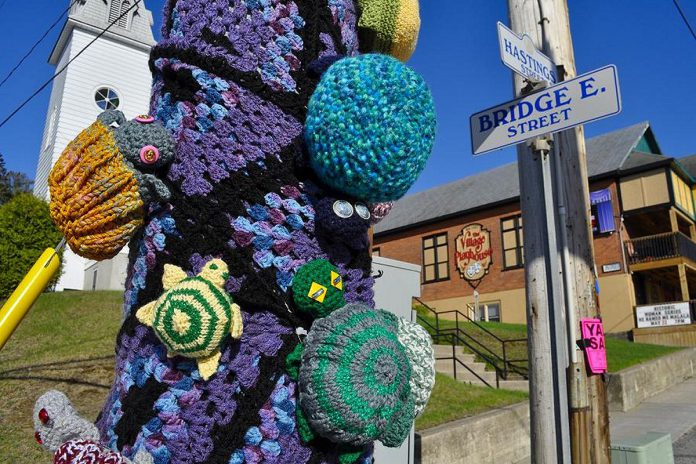 The idea for the annual "Crafting 4 Turtles" initiative came after Think Turtle Conservation Initiative founder and managing director Kelly Wallace asked Knittervention, a craft group in North Hastings, to orchestrate a turtle-themed "yarn bomb" in Bancroft. On the Victoria Day weekend in 2018, residents and visitors to the village were greeted by hundreds of knitted and crocheted turtles. (Photo courtesy of Knittervention)