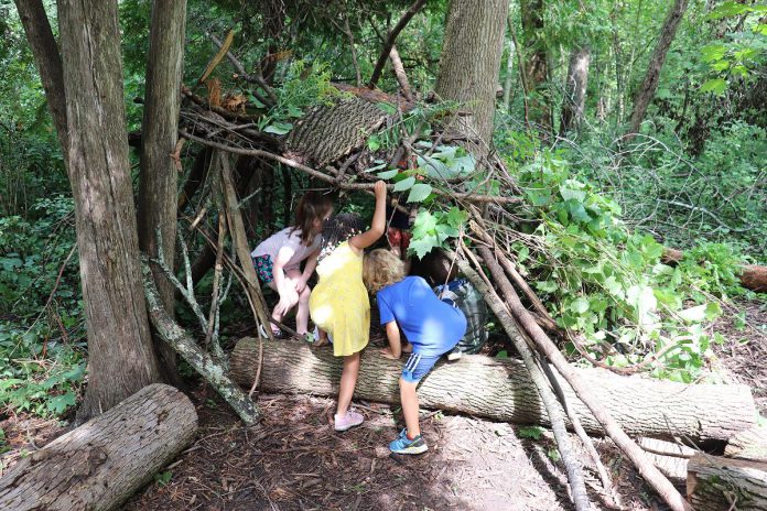 Young Earth Adventures Camp participants immersed in nature. GreenUP education programs are designed to foster a deep and lasting connection between children and the natural world through hands-on experience. (Photo: Jessica Todd / GreenUP)