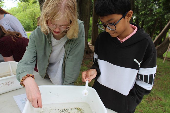 Students at the 2024 Peterborough Children's Water Festival examine locally and regionally significant aquatic species and learn ways to protect their ecosystem at a guest activity centre run by Otonabee Conservation. (Photo: Karen Halley)