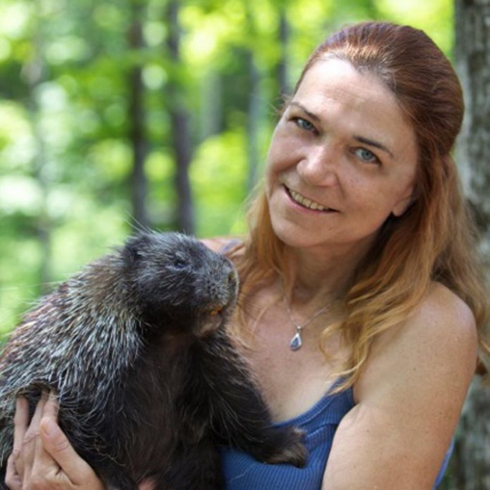 Monika Melichar, pictured with a porcupine named Quill, is founder and president of Woodlands Wildlife Sanctuary in Minden. Melichar is a federally and provincially authorized wildlife custodian and has over 30 years of experience working with orphaned and injured wildlife. She holds a BSc in Zoology from the University of Guelph and has worked at the Metro Toronto Zoo. (Photo: Sue Carr-Tiffin)