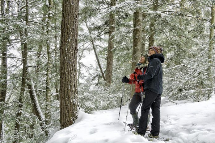 A true all-season wonderland, the Haliburton Highlands have a range of exceptional offerings in the winter, including 200 kilometres of cross-country ski trails. The winter edition of the Hike Haliburton Festival is a great opportunity for locals and visitors alike to explore the region through guided and self-guided hikes and paid adventure excursions from local businesses. (Photo courtesy of Hike Haliburton)