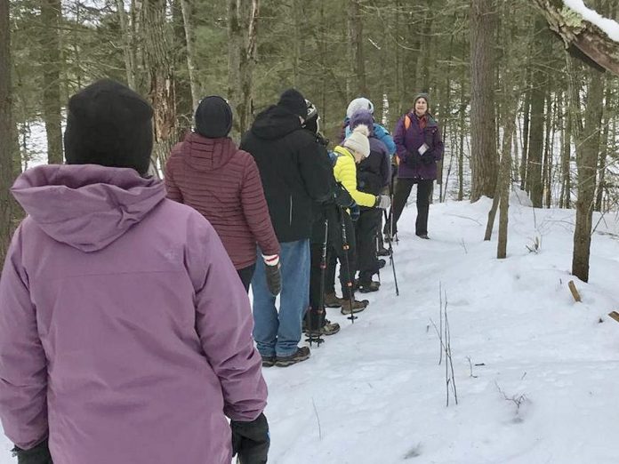 Marcia Mandel is one of the many passionate and knowledgeable locals who are volunteering to lead a hike during the winter edition of the Hike Haliburton Festival on February 1 and 2, 2025. During the Crane Lake Cleanse, she will be leading hikers on a 3.5-kilometre meditative walk. (Photo courtesy of Marcia Mandel)