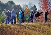 In 2025, the Peterborough Field Naturalists is celebrating 85 years of bringing people closer to nature. (Photo courtesy of Peterborough Field Naturalists)