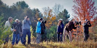 In 2025, the Peterborough Field Naturalists is celebrating 85 years of bringing people closer to nature. (Photo courtesy of Peterborough Field Naturalists)