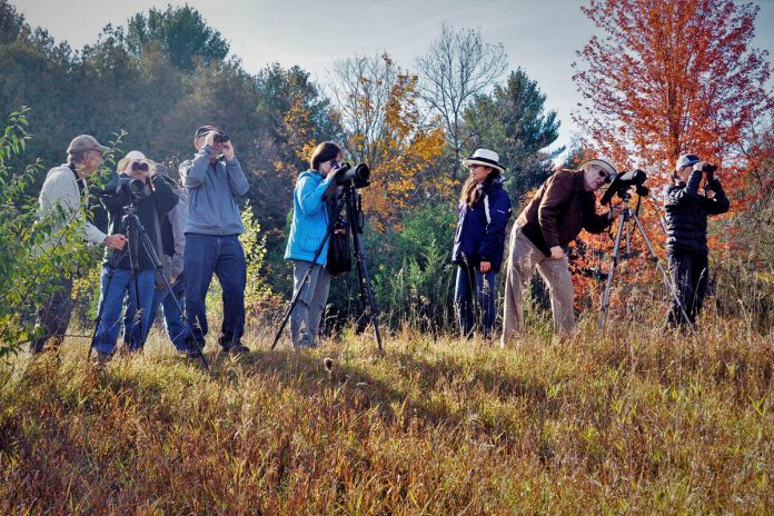 In 2025, the Peterborough Field Naturalists is celebrating 85 years of bringing people closer to nature. (Photo courtesy of Peterborough Field Naturalists)