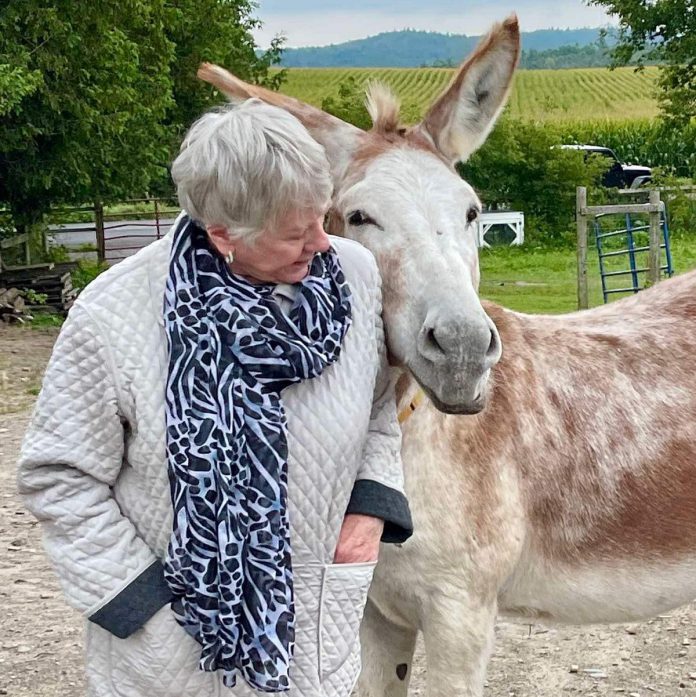 For 25 years, PrimRose Donkey Sanctuary founder Sheila Burns has been providing a safe haven for donkeys who need a home, with the help of dedicated volunteers and community donations. Along with its "$25 on the 25th" fundraiser, the sanctuary will be hosting a 25th anniversary party on June 22, 2025. (Photo courtesy of PrimRose Donkey Sanctuary)