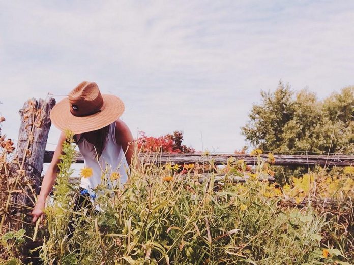 In response to the threat of U.S. tariffs on Canadian goods, The Harrison Hill Farm has been getting more inquiries through their Threats account from people who want to become more self-reliant by growing their own food. (Photo: The Harrison Hill Farm / Facebook)