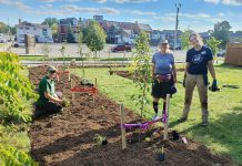 Green Communities Canada (GCC) green infrastructure program lead Jenn McCallum (middle) and GreenUP native plant propagation coordinator Hayley Goodchild (right) install a row of fruit trees and perennials at One City Peterborough's Trinity Community Centre in 2024. The Green Infrastructure project, supported by the GCC Living Cities Canada Fund, was designed to improve stormwater management, access to shade, and opportunity to tend food plants at Trinity Community Centre. (Photo: Laura Keresztesi / GreenUP)