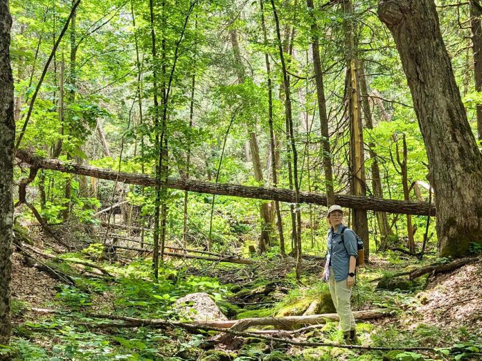 Sam Clapperton, Kawartha Land Trust's land research coordinator, at MapleCross John Wolfe Forest Preserve. (Photo: Kawartha Land Trust)