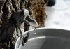 While the sudden warm spells last winter meant Ontario maple syrup producers tapped trees earlier than usual, this also shortened the timeframe for sap collection and ultimately meant a smaller yield. This year's maple syrup season is promising to be more typical, according to the Ontario Maple Syrup Producers' Association. Consistent below-freezing temperatures at night followed by gradually warming temperatures during the day will allow for a more traditional maple syrup season running from late March to early April. (Stock photo)