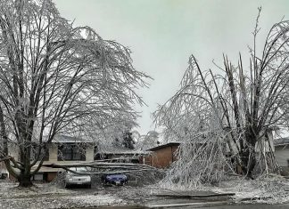 Downed tree limbs in a west-end neighbourhood of Peterborough on March 30, 2025 after a major weekend ice storm across central and eastern Ontario. (Photo: Barry Killen)