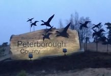 Peterborough County sign on Highway 115. (Photo: Peterborough County)