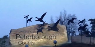 Peterborough County sign on Highway 115. (Photo: Peterborough County)