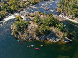 Regional Tourism Organization 8 (RTO8) is seeking knowledgeable and experienced tourism and business professionals to provide mentorship and one-on-one coaching to tourism business owners and operators in the Kawarthas Northumberland region. Through the Acceler8 program, mentors will be matched with business owners for a structured and facilitated coaching process to help them navigate changing market challenges and support the overall economic growth of the region. (Photo courtesy of RTO8)