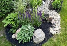 Rain gardens are not only visually pleasing, they are designed to hold water for up to 24 hours after a heavy rain, and also act as mini habitats. The City of Peterborough Rain Garden Subsidy program, delivered in partnership with GreenUP, offers up to $1,000 toward the cost of installation for city residents. (Photo: GreenUP)