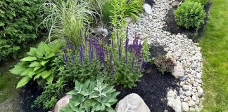 Rain gardens are not only visually pleasing, they are designed to hold water for up to 24 hours after a heavy rain, and also act as mini habitats. The City of Peterborough Rain Garden Subsidy program, delivered in partnership with GreenUP, offers up to $1,000 toward the cost of installation for city residents. (Photo: GreenUP)