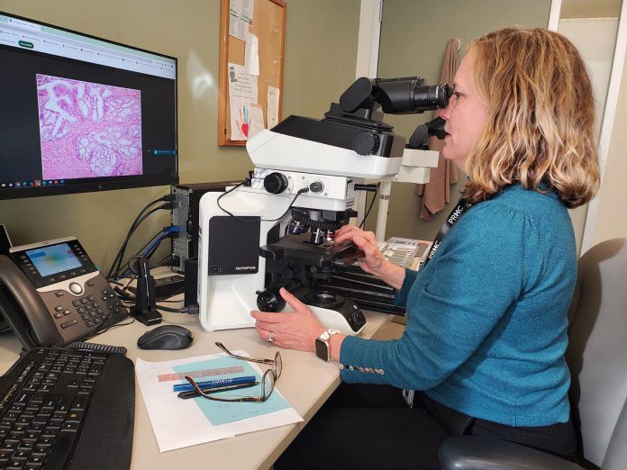 Peterborough Regional Health Centre (PRHC) pathologist and medical director of laboratory medicine Dr. Katie O'Reilly examines a tissue sample using a microscope. When further consultation is needed, it currently requires couriering the physical samples to specialists in Toronto, which adds to the time cancer patients have to wait for a complete diagnosis. With digital pathology, high-resolution scanners will digitize the physical glass slides with precise imaging to improve accuracy, reduce turnaround time, and allow for more efficient collaboration with other specialists. (Photo courtesy of PRHC Foundation)