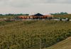 Located in the Township of Otonabee-South Monaghan in Peterborough County, Rolling Grape Vineyard was founded with the goal of bringing the picturesque experience of wine country to the Kawarthas. Offering a grape-to-table experience, the family farm makes all wine on site using Ontario-grown grapes. The winery includes a restaurant with ingredients sourced from local suppliers and regularly hosts events in support of local makers and small businesses. (Photo courtesy of Rolling Grape Vineyard)