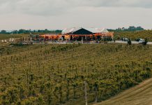 Located in the Township of Otonabee-South Monaghan in Peterborough County, Rolling Grape Vineyard was founded with the goal of bringing the picturesque experience of wine country to the Kawarthas. Offering a grape-to-table experience, the family farm makes all wine on site using Ontario-grown grapes. The winery includes a restaurant with ingredients sourced from local suppliers and regularly hosts events in support of local makers and small businesses. (Photo courtesy of Rolling Grape Vineyard)