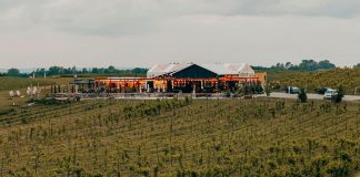 Located in the Township of Otonabee-South Monaghan in Peterborough County, Rolling Grape Vineyard was founded with the goal of bringing the picturesque experience of wine country to the Kawarthas. Offering a grape-to-table experience, the family farm makes all wine on site using Ontario-grown grapes. The winery includes a restaurant with ingredients sourced from local suppliers and regularly hosts events in support of local makers and small businesses. (Photo courtesy of Rolling Grape Vineyard)