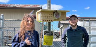Fleming College students are assisting a research project that is evaluating whether "bee hotels," which are human-constructed structures that offer nesting spaces for solitary native bee species, have a net-positive impact on native bees. Three bee hotel designs are being tested in public parks, community food gardens, and pollinator gardens across the City of Kawartha Lakes. (Photo: Fleming College)