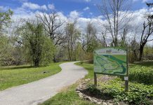 GreenUP Ecology Park in Peterborough is home to a small section of the iconic 28,000-kilometre Trans Canada Trail. In 2025, GreenUP will be working with friends at the Trans Canada Trail to restore the tree canopy at the park by planting 12 large specimen trees and two large specimen shrubs, as well as installing educational signage describing what makes these trees so special. (Photo: Vern Bastable / GreenUP)