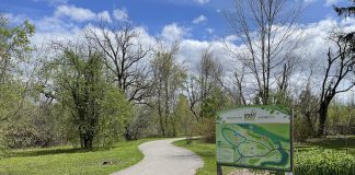 GreenUP Ecology Park in Peterborough is home to a small section of the iconic 28,000-kilometre Trans Canada Trail. In 2025, GreenUP will be working with friends at the Trans Canada Trail to restore the tree canopy at the park by planting 12 large specimen trees and two large specimen shrubs, as well as installing educational signage describing what makes these trees so special. (Photo: Vern Bastable / GreenUP)