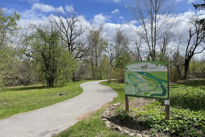 GreenUP Ecology Park in Peterborough is home to a small section of the iconic 28,000-kilometre Trans Canada Trail. In 2025, GreenUP will be working with friends at the Trans Canada Trail to restore the tree canopy at the park by planting 12 large specimen trees and two large specimen shrubs, as well as installing educational signage describing what makes these trees so special. (Photo: Vern Bastable / GreenUP) GreenUP Ecology Park in Peterborough is home to a small section of the iconic 28,000-kilometre Trans Canada Trail. In 2025, GreenUP will be working with friends at the Trans Canada Trail to restore the tree canopy at the park by planting 12 large specimen trees and two large specimen shrubs, as well as installing educational signage describing what makes these trees so special. (Photo: Vern Bastable / GreenUP)