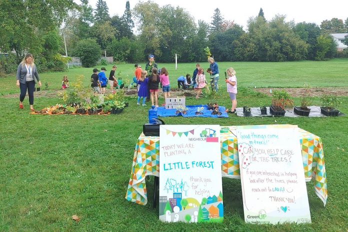 Students at Keith Wightman Public School take part in the planting of a Little Forest in the fall of 2024. GreenUP supported the planting of over 1,600 trees throughout the Peterborough region in 2024 and, with the support of the community, aim to plant even more in 2025. (Photo: Laura Keresztesi / GreenUP)