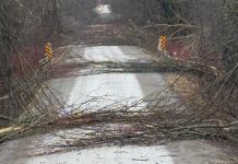"With extreme weather events becoming more frequent and severe, it's more important than ever to be prepared" for an emergency, says Kawartha Lakes Fire Rescue Service Chief Terry Jones. (Photo: City of Kawartha Lakes)