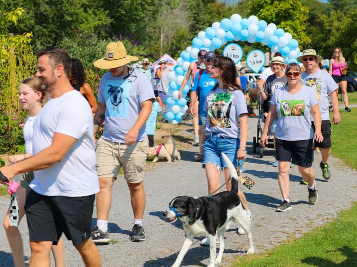 The Lakefield Animal Welfare Society (LAWS) is inviting animal lovers to join the "Doggie Dash," a community dog walk through Lakefield on June 7, 2025 to raise essential funds for the non-profit shelter. Participants can sign up to raise money as an individual or in teams, join the 1.5 or 2.5 kilometre walk, and enjoy a lively post-walk social at Selwyn's Isabel Morris Park, which will include local vendos, pet-friendly shopping, and live music from singer-songwriter Sean Hully. (Photo courtesy of LAWS)