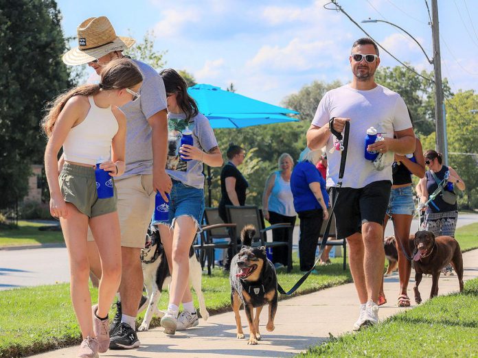 The Lakefield Animal Welfare Society (LAWS), a small non-profit and no-kill shelter that is run strictly on donations, memberships, and adoption fees, is aiming to raise $15,000 through the Doggie Dash fundraising event, which will have animal lovers walking through Lakefield on June 7, 2025. The funds will support the shelter's veterinary and food costs and provide supplies to the volunteer fosters who care for the animals at a time when pets are continuing to be surrendered at an increasing rate. (Photo courtesy of LAWS)