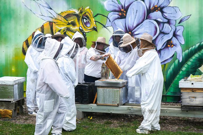 Beekeeping was one of the workshops available to local female students in Grade 7 and 8 during Northumberland County's first-ever FemSTEAM event on April 24, 2025, which gave the students an opportunity to learn about careers in science, technology, engineering, arts, and mathematics (STEAM). Participants also learned about local STEAM businesses and attended a panel discussion with local STEAM entrepreneurs. (Photo: Northumberland County) Beekeeping was one of the workshops available to local female students in Grade 7 and 8 during Northumberland County's first-ever FemSTEAM event on April 24, 2025, which gave the students an opportunity to learn about careers in science, technology, engineering, arts, and mathematics (STEAM). Participants also learned about local STEAM businesses and attended a panel discussion with local STEAM entrepreneurs. (Photo: Northumberland County)